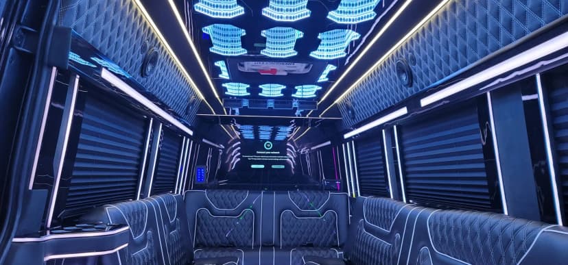 Infinity Ceiling Sprinter 2025 image 2